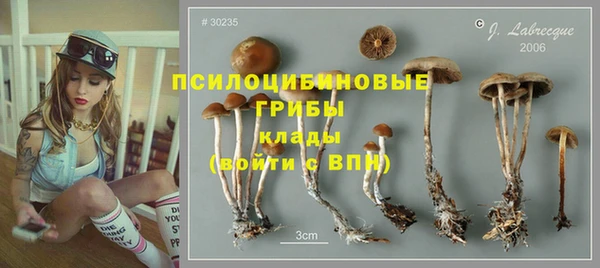 spice Володарск