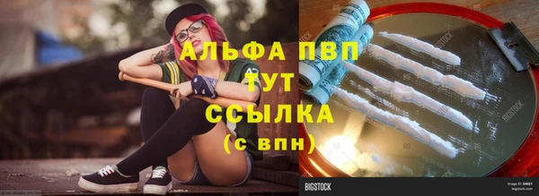 spice Володарск