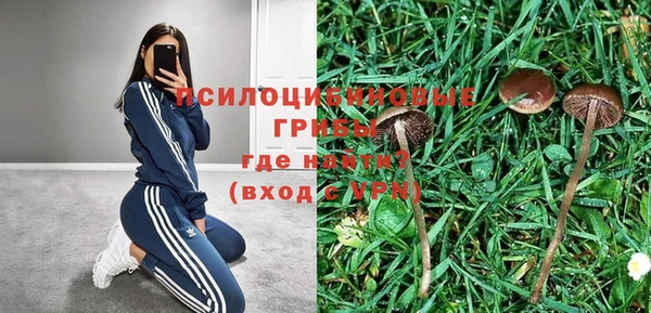 spice Володарск