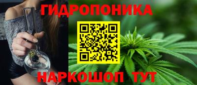 a pvp Заводоуковск