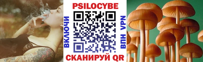 Псилоцибиновые грибы Psilocybe Октябрьский