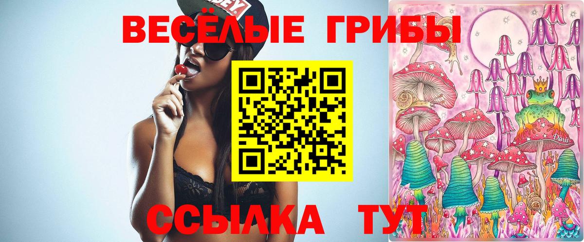 Галлюциногенные грибы мухоморы Октябрьский